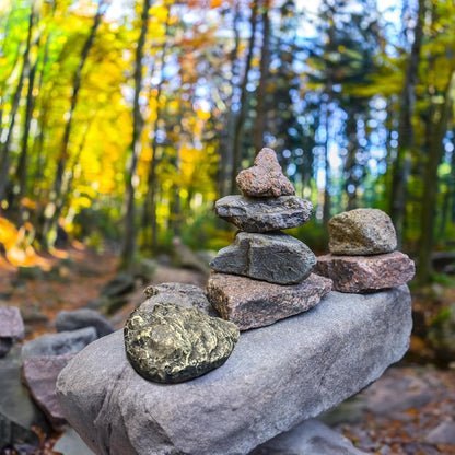 Ultimate Concealed Key Stone Rock   Authentic Appearance, Unmatched Durability, and Secure Practicality for Outdoor Use and Emergencies   Hide a Key Outdoor   Key Rock Holder